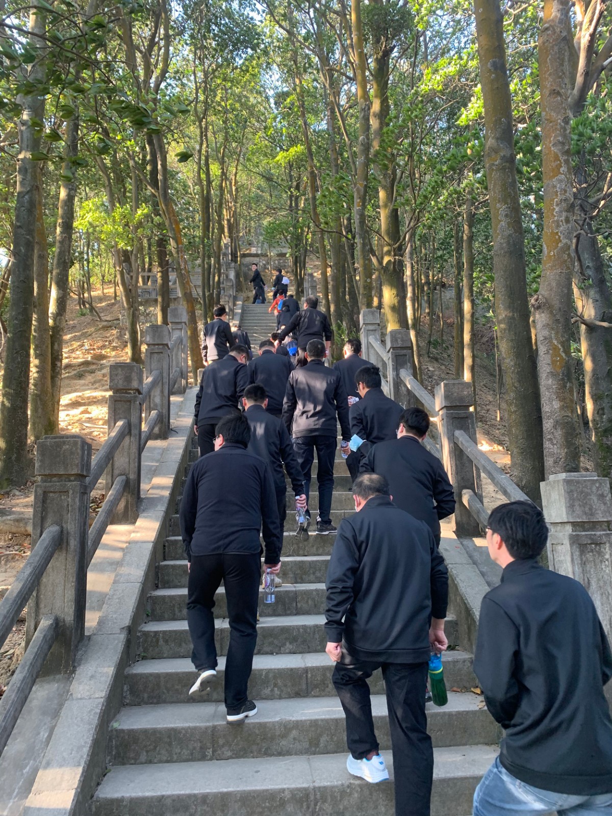 元旦登山2.jpg 元旦登山2.jpg